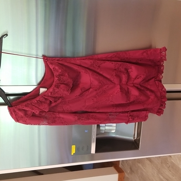 💕ALEXIS💕 Ilana Lace Long Sleeve Dress ~ Dark Red XS One Shoulder Sheath Dress - Picture 8 of 14
